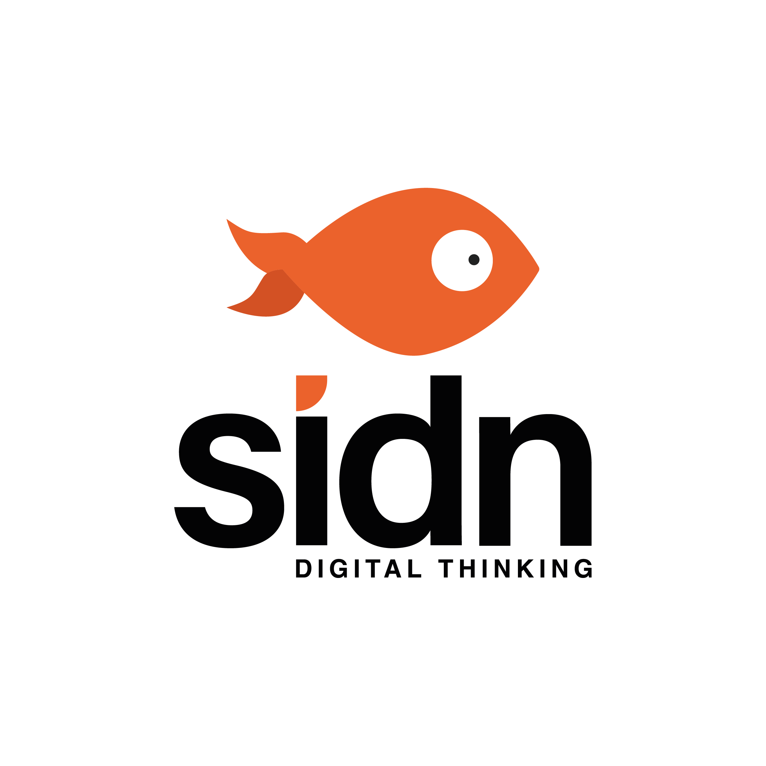 sidn digital thinking
